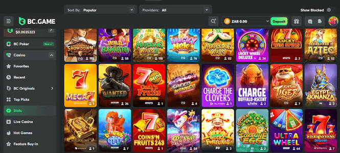 Discovering the BC.Game Gambling Platform A Comprehensive Exploration